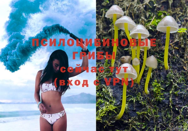 мдпв Белокуриха