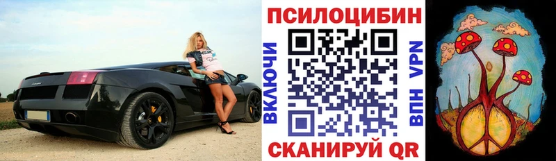 Псилоцибиновые грибы GOLDEN TEACHER  сколько стоит  KRAKEN зеркало  Конаково 